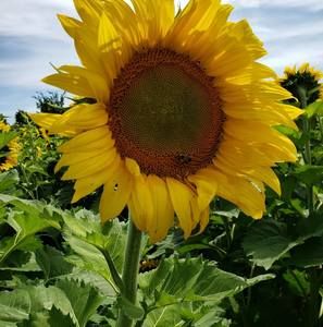 Meet your Posher, Nikki